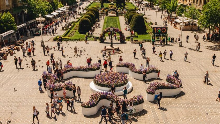 Festivalul Timfloralis a început la Timișoara