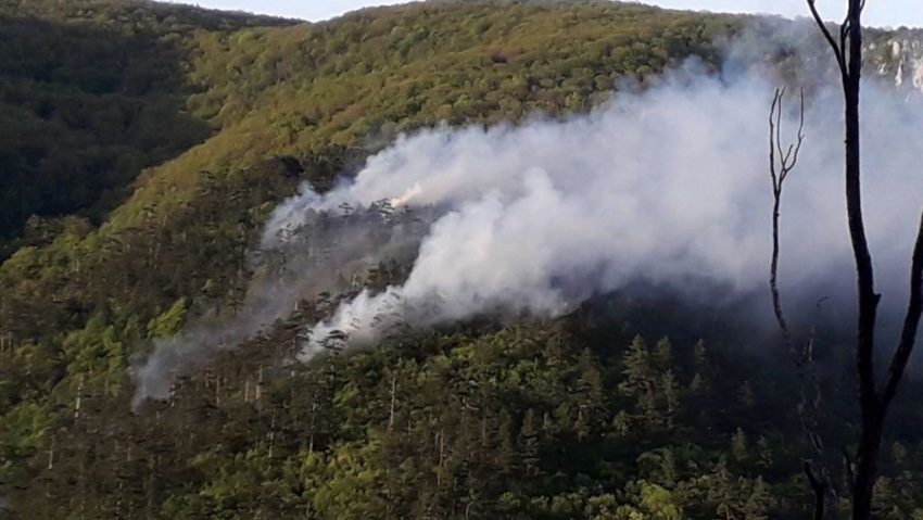 [FOTO] Vântul și zona muntoasă greu accesibilă îngreunează stingerea incendiului din Masivul Domogled!