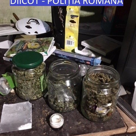 Captură de droguri la Arad. DIICOT la datorie!