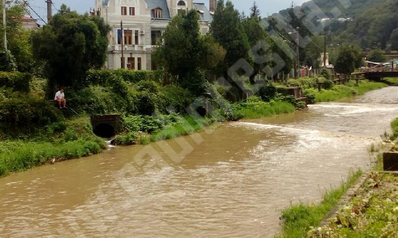 [FOTO] Peşte pe Bârzava cea frumos curgătoare – potenţială sursă de hrană pentru reşiţeni…?!