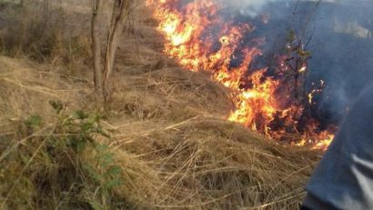 Incendiu de vegetaţie la Plugova