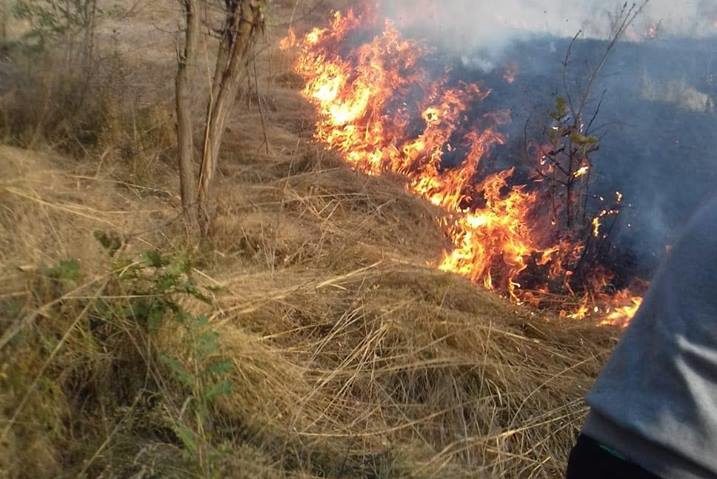 Incendiu de vegetaţie la Plugova