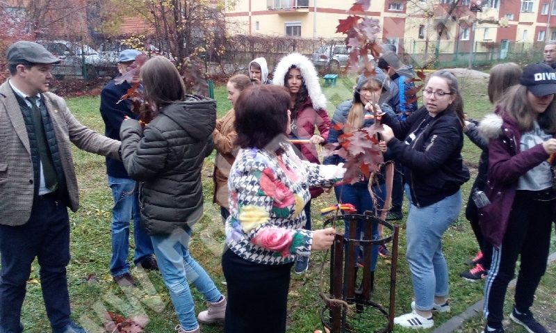 [FOTO] Stejarii Centenarului au fost plantaţi la Reşiţa