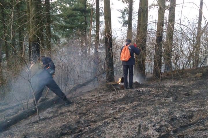 [UPDATE][FOTO-VIDEO] Incendiul din Semenic a fost stins! Personalul silvic şi ISU rămân în zonele de risc