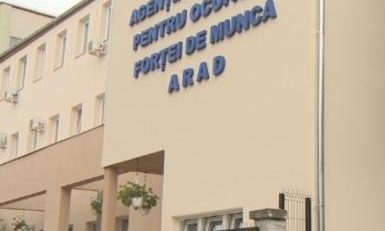 AJOFM Arad: locuri de muncă pentru studenţi în Germania