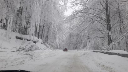 [VIDEO] Viscol și vizibilitate redusă pe drumurile spre Semenic și Muntele Mic!