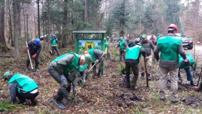 [FOTO] Luna plantării arborilor: Direcţia Silvică va împăduri 670 de hectare în Caraş-Severin