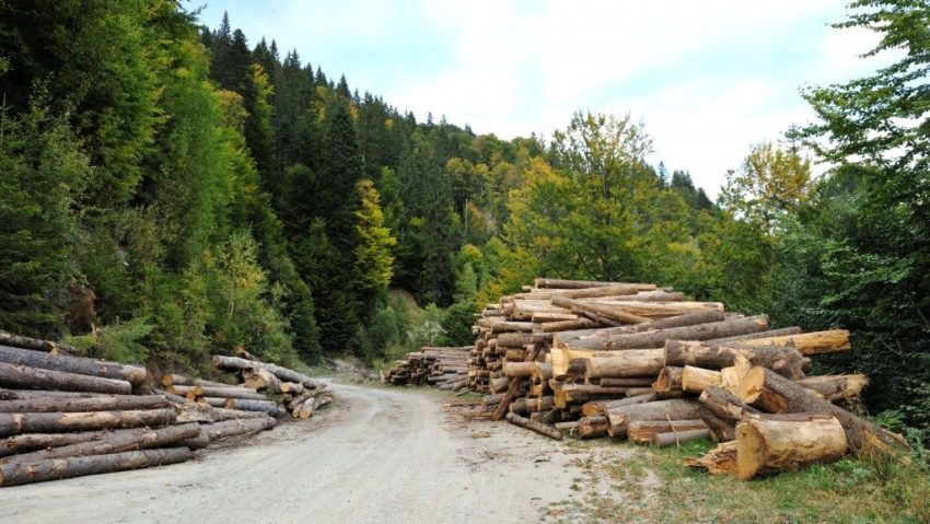 România a pierdut Parcul Național Retezat