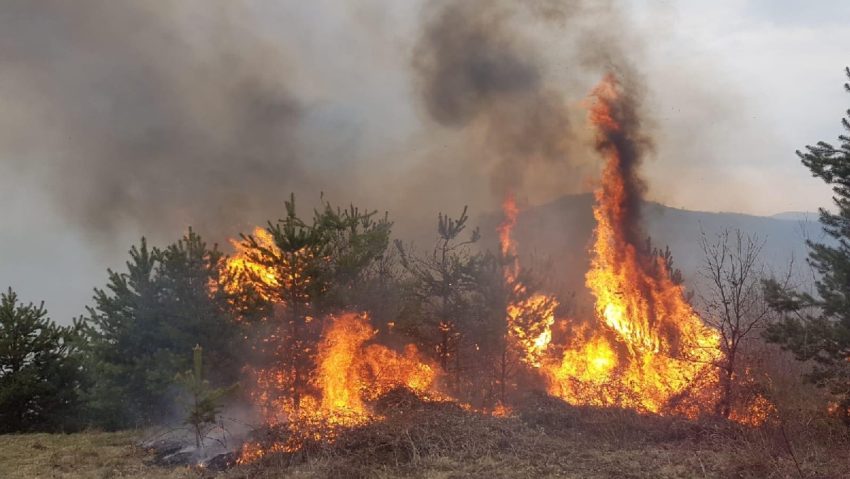 [FOTO-VIDEO] Arde la Moniom. Se acţionează cu rucsaci cu apă, lopeţi, bătătoare şi drujbe