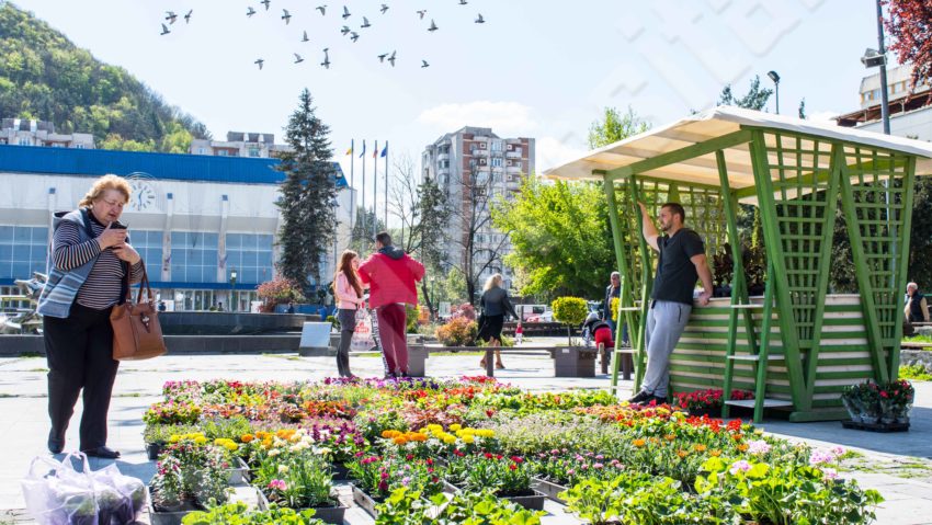 [FOTO] Ofertă de sfârșit de săptămână: Produse tradiționale, flori și muzică bună