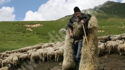 Crescătorii de ovine din Caraş-Severin îşi varsă oful pe autorităţi