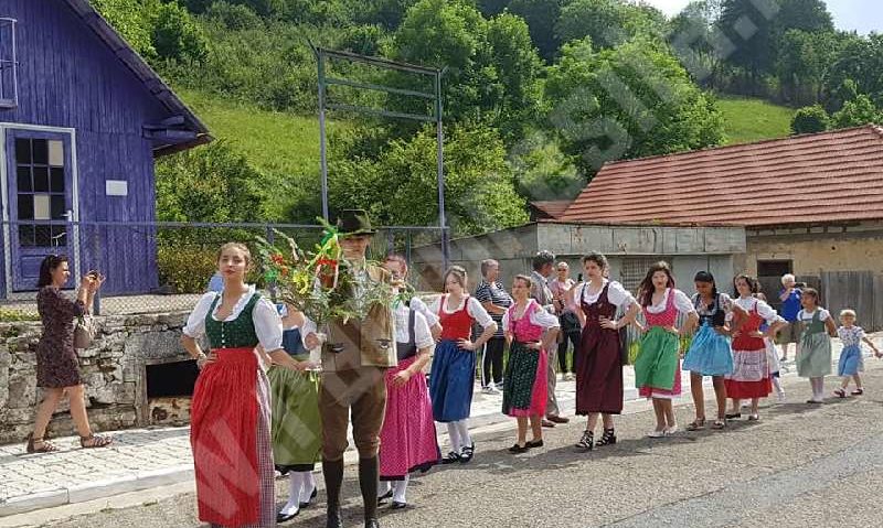 [FOTO] Kirwai-ul sărbătorit festiv la Steierdorf