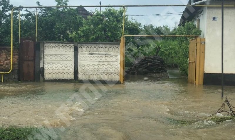 [VIDEO/FOTO] Ploile din ultimele ore au inundat Bocşa şi Caransebeşul