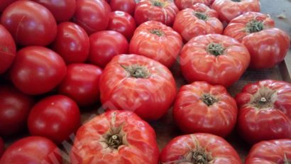 [FOTO] Programul „Tomate”, un succes în Banatul de Munte. Sute de tone de roşii au ajuns în pieţele şi magazinele din Caraş-Severin