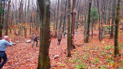 [FOTO-AUDIO] Evoluţia pădurilor de fag din Caraş-Severin în atenţia UNESCO şi IUCN