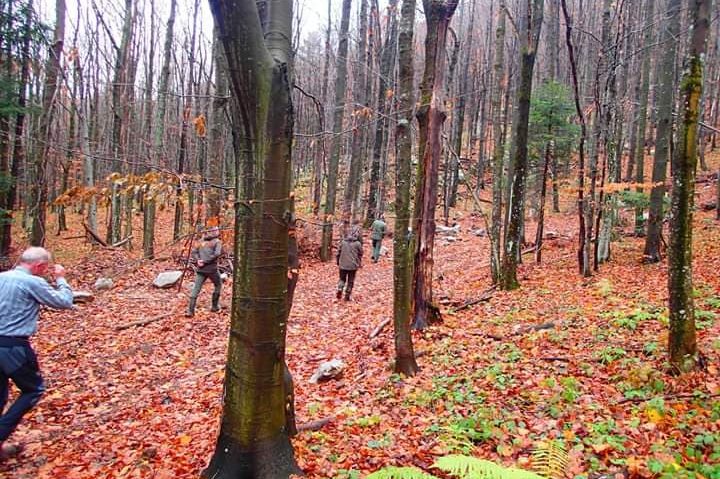 [FOTO-AUDIO] Evoluţia pădurilor de fag din Caraş-Severin în atenţia UNESCO şi IUCN