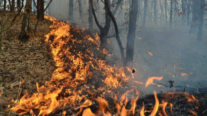 Incendii Australia: A ars o suprafaţă de 2 ori mai mare decât cea a Belgiei