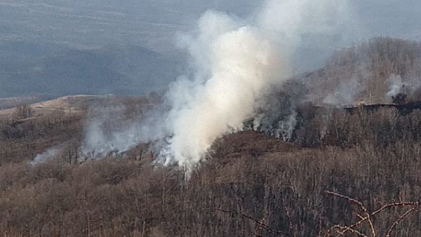 Incendiu în Parcul Naţional Domogled-Valea Cernei