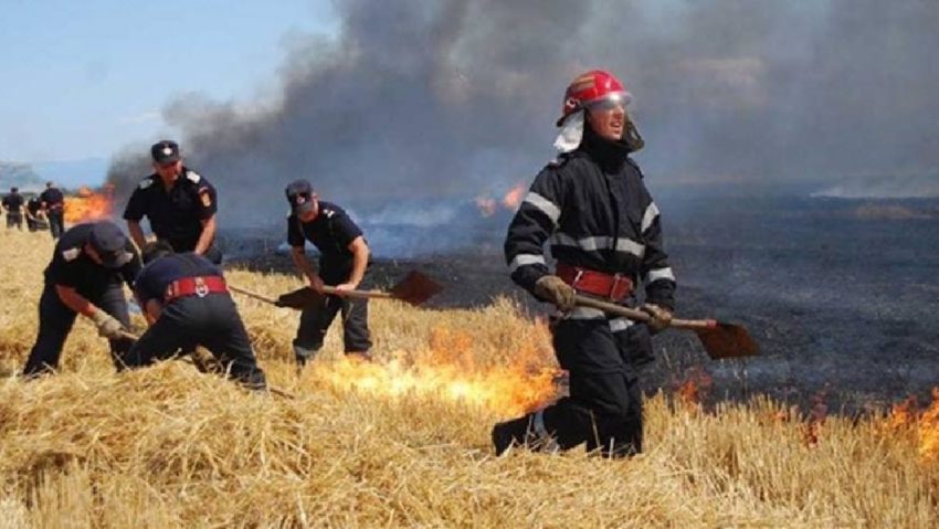 [AUDIO] Apel disperat al pompierilor: Nu mai daţi foc la mirişti!