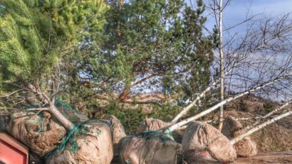 [FOTO] Gest de omenie şi prietenie între primăriile Reşiţa şi Brebu Nou în Luna Plantării Arborilor