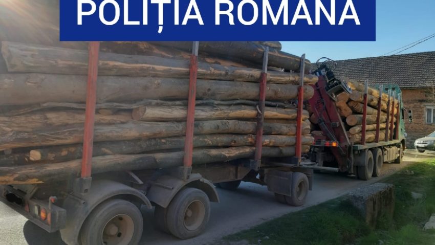 [FOTO-AUDIO] Poliţiştii au stricat afacerile din mafia lemnului