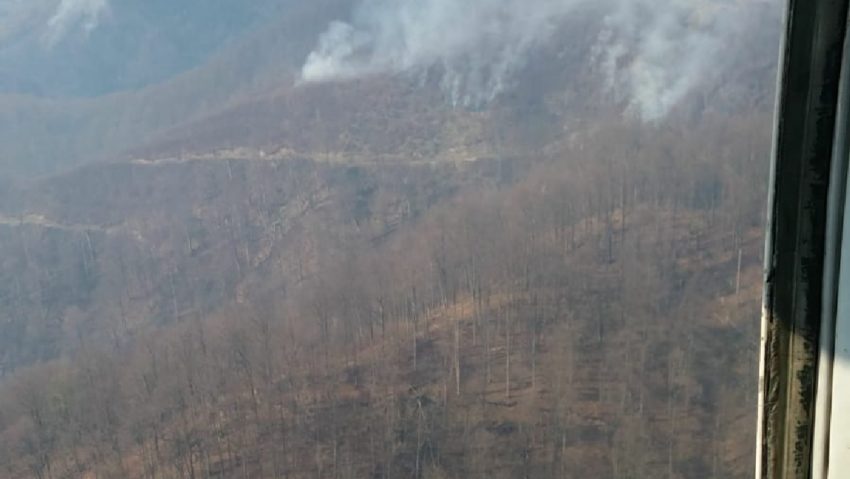 [AUDIO] Incendiu de proporţii la limita dintre judeţele Caraş-Severin şi Hunedoara