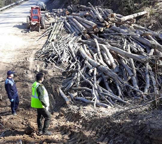 Lemn de foc confiscat în Valea Almăjului