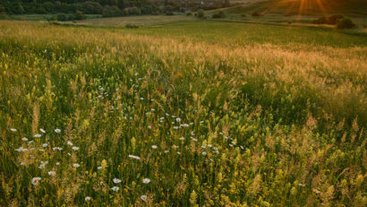 [AUDIO] Ziua Internațională a Biodiversității – sărbătoarea viețuitoarelor din lumea întreagă