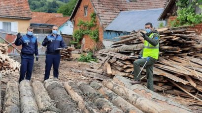 [FOTO][AUDIO] Lemnul din Caraş-Severin atent monitorizat. Garda Forestieră Timişoara şi Poliţia fac verificări şi controale săptămânale în judeţ!