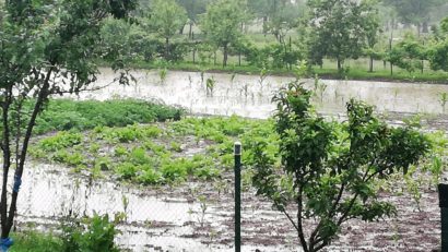 [FOTO] La Zorlenţu Mare ploaia a inundat mai multe gospodării