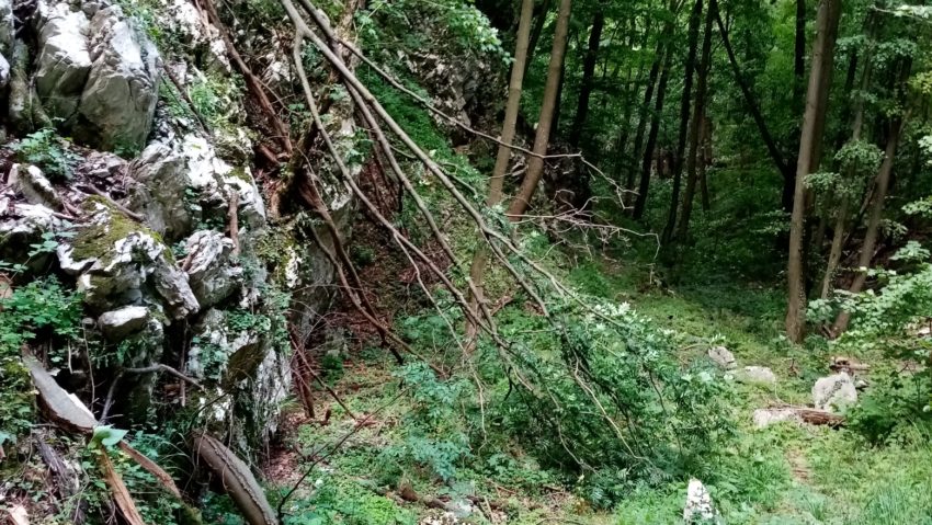 Traseele turistice din Parcul Național Domogled au fost afectate de condițiile meteorologice din ultima perioadă!