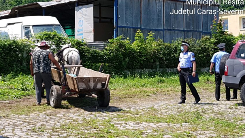 [FOTO] Unde-i lege, nu-i tocmeală! La Reşiţa a fost confiscată prima căruţă