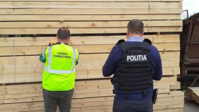 [AUDIO] Lemn de lucru şi de foc şi cherestea de răşinoase confiscate de Garda Forestieră Timişoara