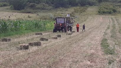 [AUDIO] Agricultorii cărăşeni nu găsesc forţă de muncă şi riscă să rămână cu recolta neculeasă