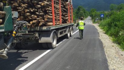 [AUDIO] Transportatorii de lemn din Caraş-Severin au dat de greu: Garda Forestieră Timişoara le suflă în ceafă