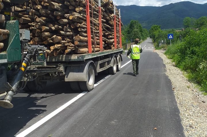 [AUDIO] Transportatorii de lemn din Caraş-Severin au dat de greu: Garda Forestieră Timişoara le suflă în ceafă