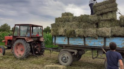 [AUDIO] Agricultorii, da, oierii, ba, iar subvenţiile sunt mărul discordiei între fermieri şi APIA la Ciuchici şi Răcăşdia