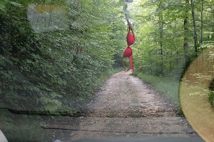 [AUDIO-FOTO] Turism necivilizat în Parcul Naţional Semenic-Cheile Caraşului: Lenjerie intimă în copaci şi deşeuri menajere la tot pasul