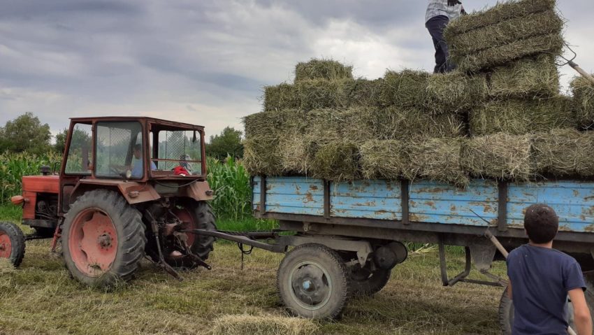 [AUDIO]Utilajele agricole proprietate personală, mană cerească pentru agricultorii cărăşeni