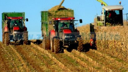 [AUDIO] Campania agricolă de toamnă, în plină desfăşurare în Caraş-Severin. Producţiile la hectar, foarte bune!