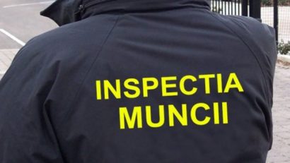 Inspectorii de muncă din Caraş-Severin verifică parchetele forestiere