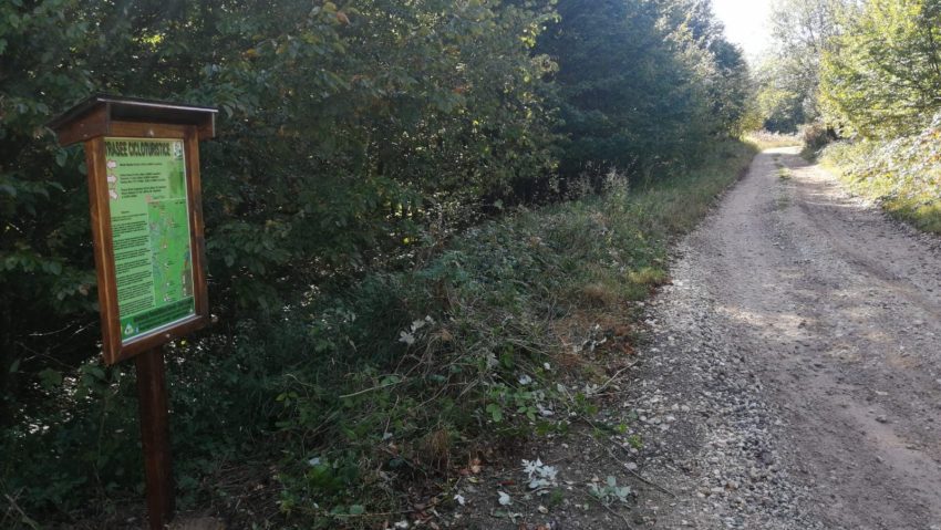 [AUDIO-FOTO] Cicloturism în Parcul Naţional Semenic-Cheile Caraşului