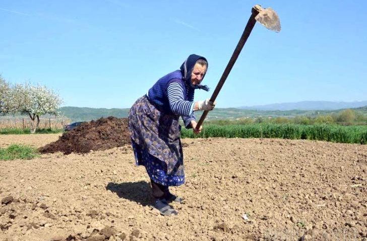 Ziua internaţională a femeilor din mediul rural, marcată şi în România de mai bine de două decenii