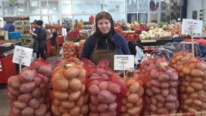 [AUDIO-FOTO]Cea mai profitabilă cultură agricolă din România, rodeşte şi în Banat unde NU este cunoscută de nimeni. Cartoful mov – delicatesa din meniurile marilor restaurante din lume, este furaj pentru animale în Caraş-Severin!