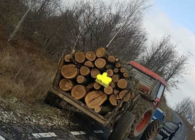 Caraş-Severin: Prins că transporta material lemnos fără documente legale