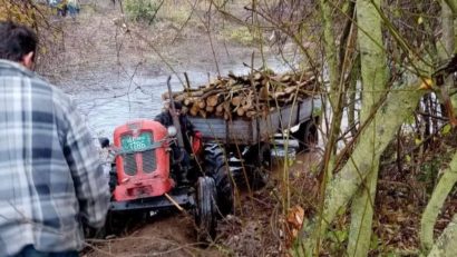 [FOTO-AUDIO] Garda Forestieră Timișoara confirmă tăierile ilegale de arbori de la graniţa cu Serbia. Poliţia de Frontieră a deschis un dosar penal!