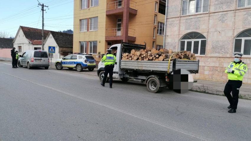 [FOTO] CARAŞ-SEVERIN: Controale pentru depistarea transporturilor ilegale de material lemnos şi pomi de Crăciun