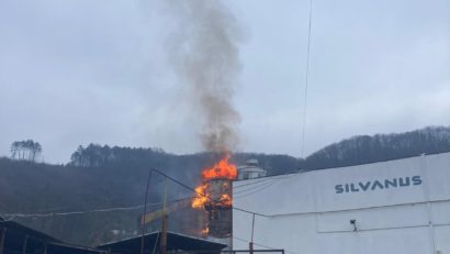 [FOTO] Incendiu la halele de producţie ale unui intreprinzător privat din Stavila