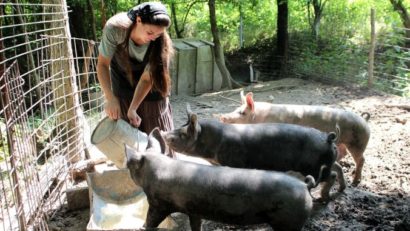 Fermierii au dat de greu: Maximum 5 porci într-o gospodărie familială!