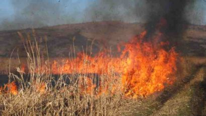 [AUDIO] Fermierii care incendiază terenurile agricole, lăsaţi de APIA fără subvenţii!